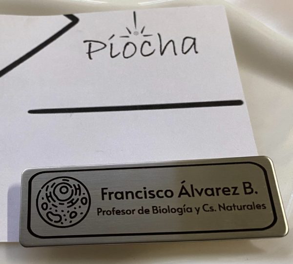 Piocha