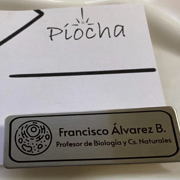 Piocha