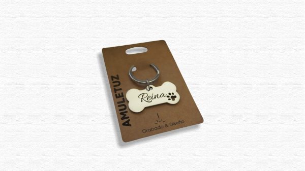 Placa Hueso