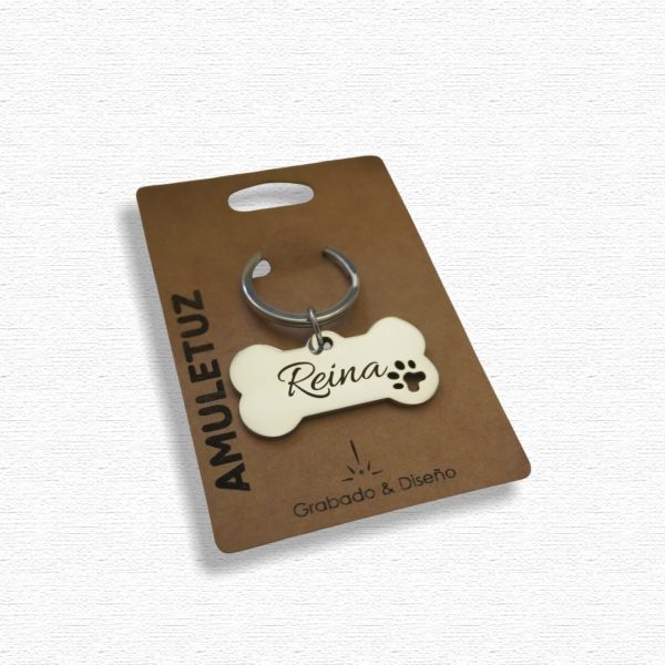Placa Hueso